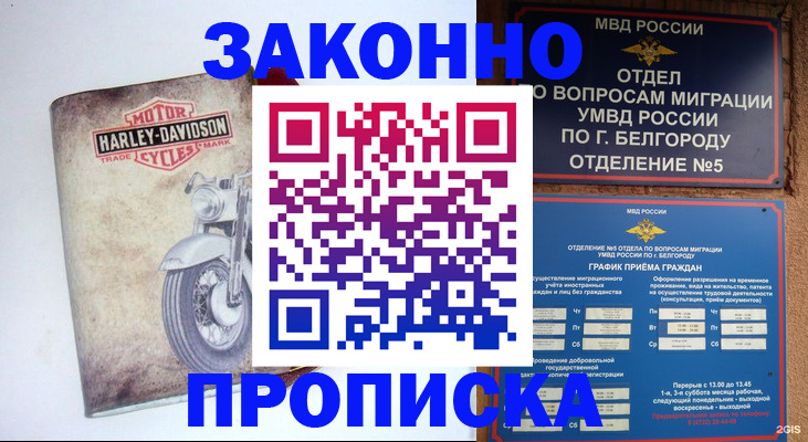прописка для школы в Котельниках
